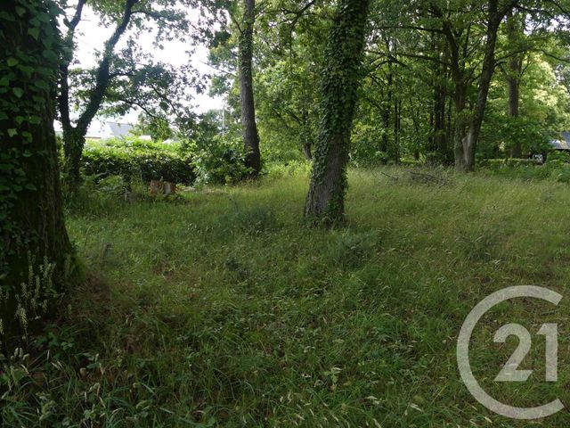 terrain à vendre - 1080.0 m2 - ALLAIRE - 56 - BRETAGNE - Century 21 L'Immobilière De L'Ouest terrain à vendre - 1080.0 m2 - ALLAIRE - 56 - BRETAGNE - Century 21 L'Immobilière De L'Ouest