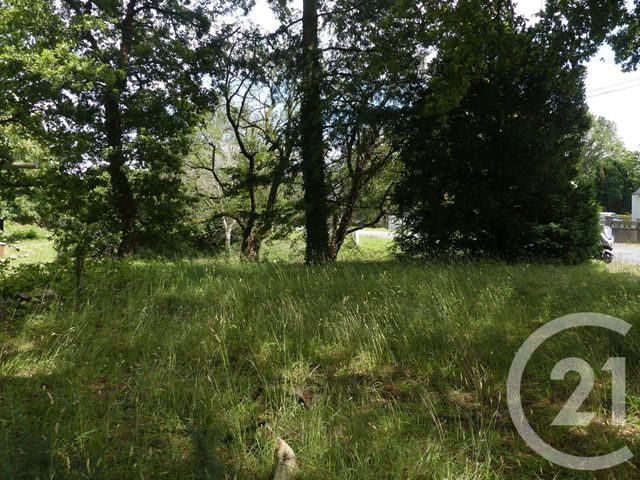 terrain à vendre - 1080.0 m2 - ALLAIRE - 56 - BRETAGNE - Century 21 L'Immobilière De L'Ouest terrain à vendre - 1080.0 m2 - ALLAIRE - 56 - BRETAGNE - Century 21 L'Immobilière De L'Ouest