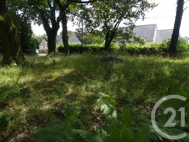terrain à vendre - 1080.0 m2 - ALLAIRE - 56 - BRETAGNE - Century 21 L'Immobilière De L'Ouest terrain à vendre - 1080.0 m2 - ALLAIRE - 56 - BRETAGNE - Century 21 L'Immobilière De L'Ouest