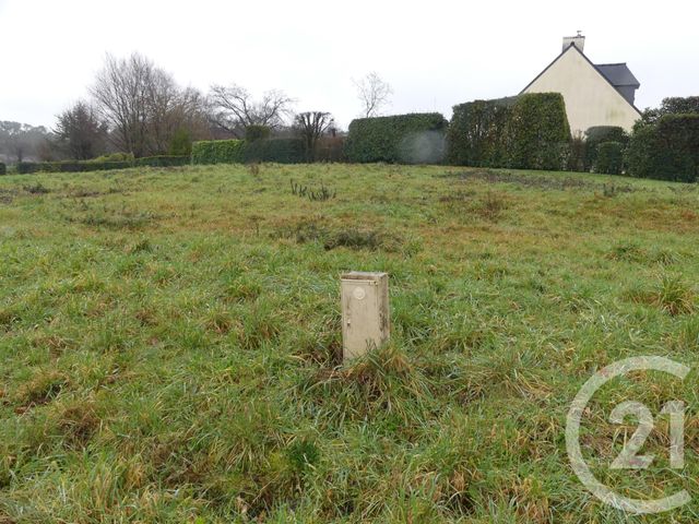 Afficher la photo en grand terrain à vendre - 1357.0 m2 - ALLAIRE - 56 - BRETAGNE - Century 21 L'Immobilière De L'Ouest