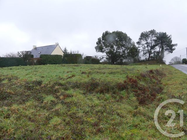Afficher la photo en grand terrain à vendre - 1357.0 m2 - ALLAIRE - 56 - BRETAGNE - Century 21 L'Immobilière De L'Ouest