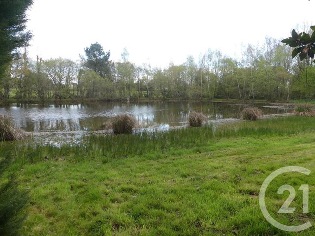 divers à vendre - 15000.0 m2 - AVESSAC - 44 - PAYS-DE-LOIRE - Century 21 L'Immobilière De L'Ouest divers à vendre - 15000.0 m2 - AVESSAC - 44 - PAYS-DE-LOIRE - Century 21 L'Immobilière De L'Ouest