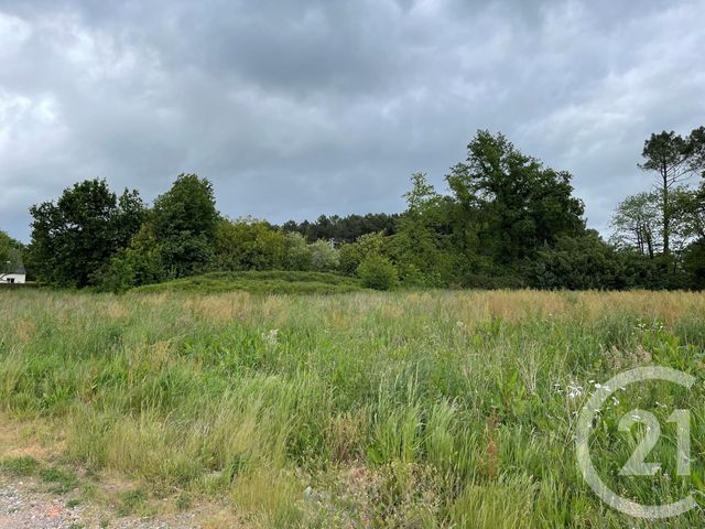 terrain - ST VINCENT SUR OUST - 56