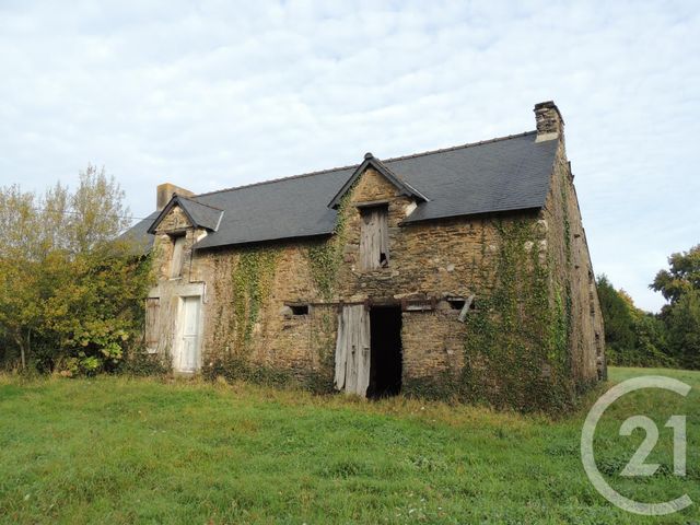 maison - AVESSAC - 44