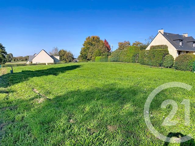terrain - ALLAIRE - 56