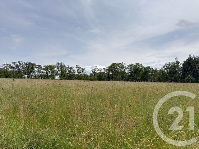 maison à vendre - 15 pièces - 421.1 m2 - ST JEAN LA POTERIE - 56 - BRETAGNE - Century 21 L'Immobilière De L'Ouest