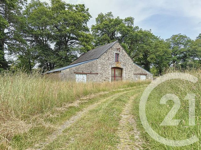 maison à vendre - 15 pièces - 421.1 m2 - ST JEAN LA POTERIE - 56 - BRETAGNE - Century 21 L'Immobilière De L'Ouest