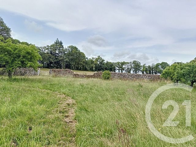 maison à vendre - 15 pièces - 421.1 m2 - ST JEAN LA POTERIE - 56 - BRETAGNE - Century 21 L'Immobilière De L'Ouest