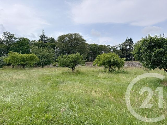 maison à vendre - 15 pièces - 421.1 m2 - ST JEAN LA POTERIE - 56 - BRETAGNE - Century 21 L'Immobilière De L'Ouest