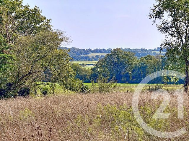 terrain - ALLAIRE - 56