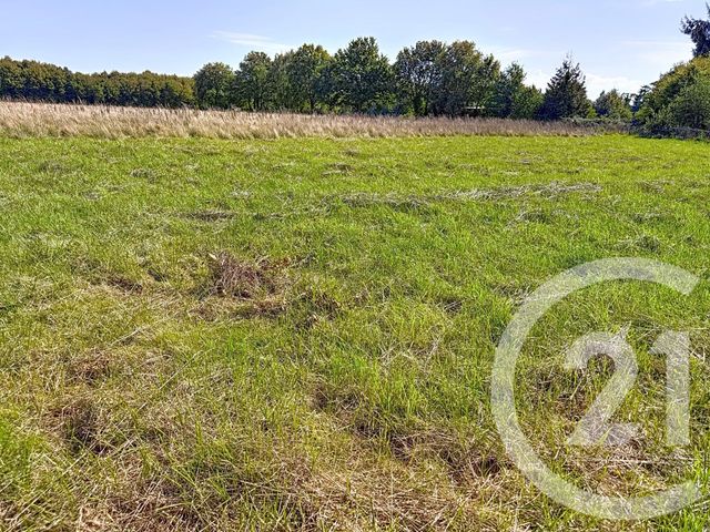 terrain à vendre - 1379.0 m2 - ST VINCENT SUR OUST - 56 - BRETAGNE - Century 21 L'Immobilière De L'Ouest