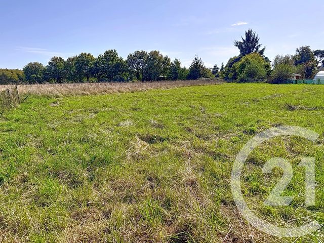 terrain à vendre - 1379.0 m2 - ST VINCENT SUR OUST - 56 - BRETAGNE - Century 21 L'Immobilière De L'Ouest