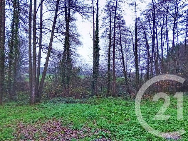 maison à vendre - 4 pièces - 72.0 m2 - GUEMENE PENFAO - 44 - PAYS-DE-LOIRE - Century 21 L'Immobilière De L'Ouest