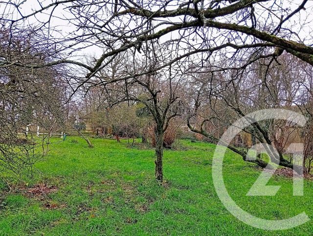 maison à vendre - 7 pièces - 185.0 m2 - AVESSAC - 44 - PAYS-DE-LOIRE - Century 21 L'Immobilière De L'Ouest