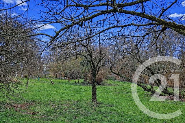 maison à vendre - 7 pièces - 185.0 m2 - AVESSAC - 44 - PAYS-DE-LOIRE - Century 21 L'Immobilière De L'Ouest