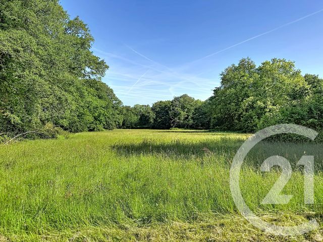 maison à vendre - 10 pièces - 273.85 m2 - BAINS SUR OUST - 35 - BRETAGNE - Century 21 L'Immobilière De L'Ouest